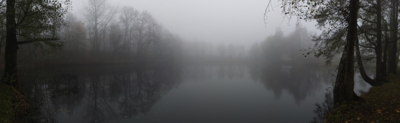 Freiberg: Schlüsselteich im Nebel (Deutschland)